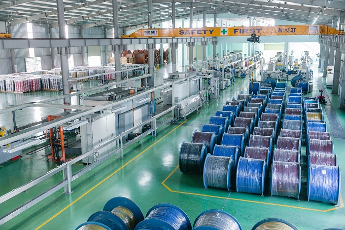 CADI-SUN 41 năm kiến tạo giá trị, vững bước tương lai